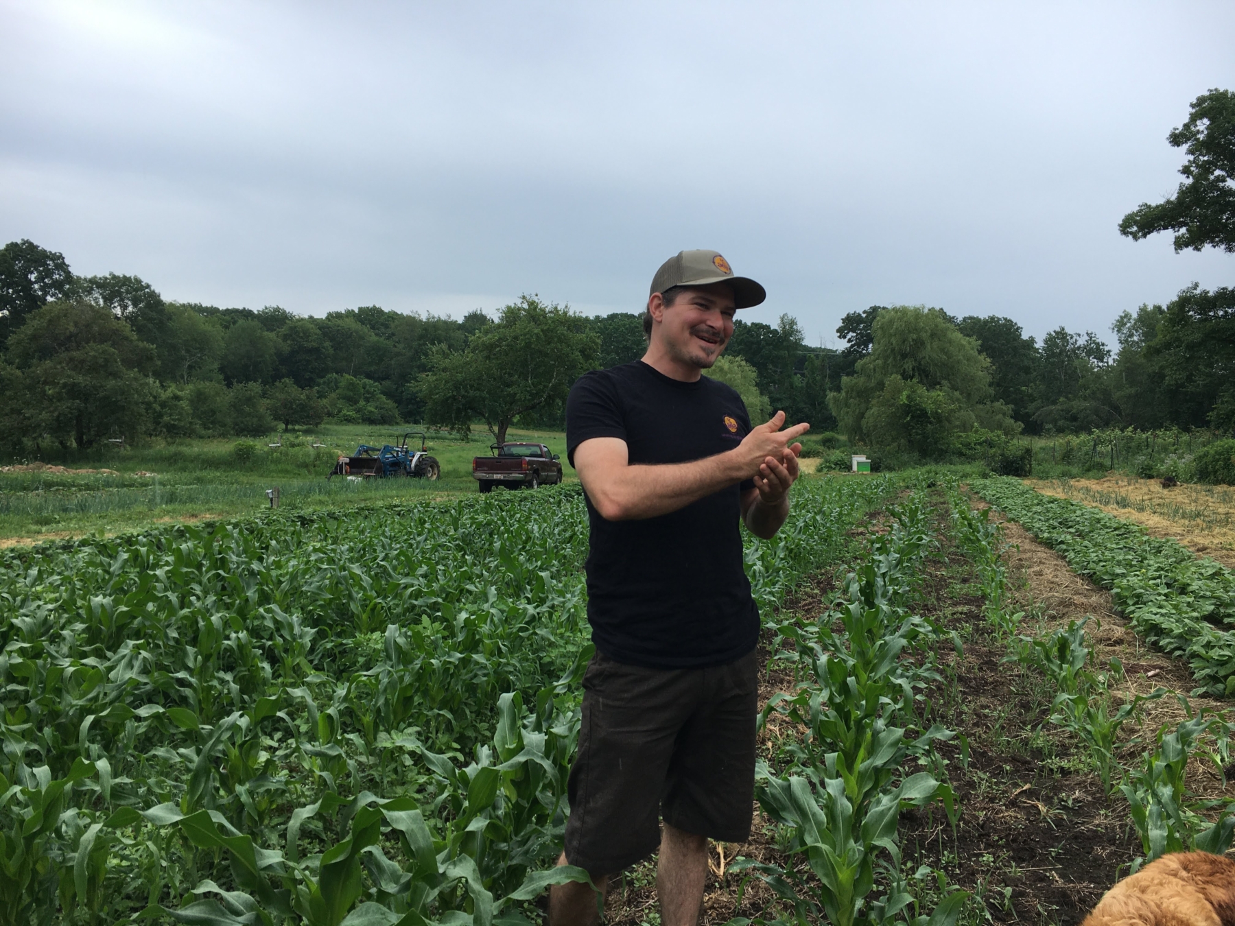 Bursting at the seams – CSA Week 7