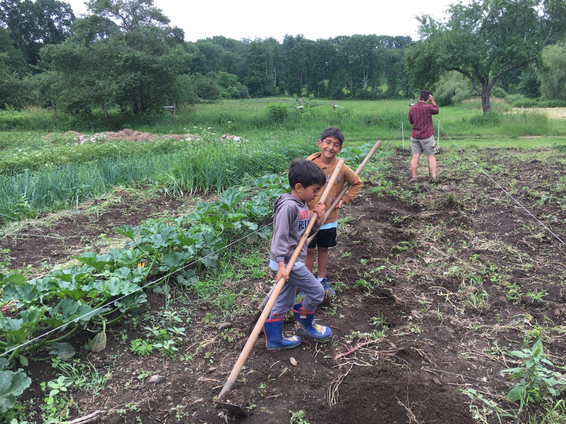 Miracles are Everywhere – CSA Week 8