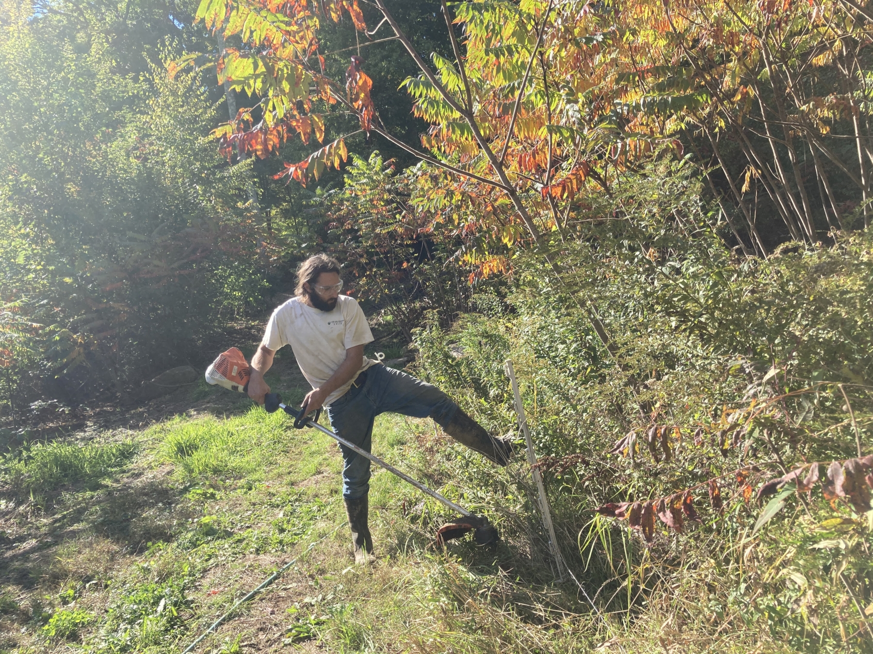 Repairs,  and “I don’t care what happens” – Krishna Murti
