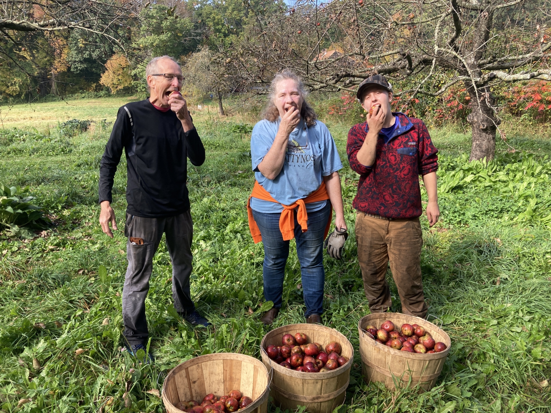 Falling Apples