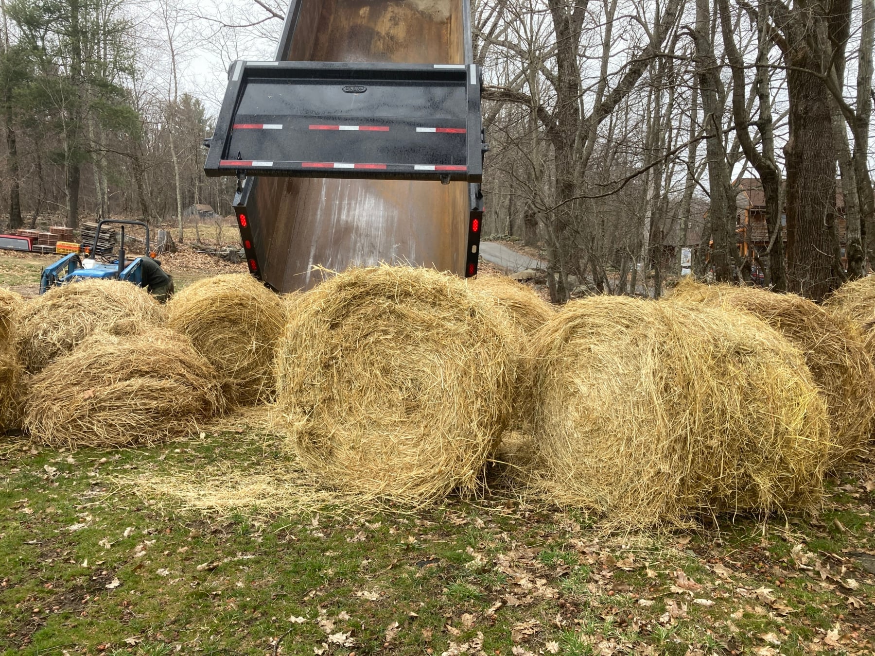 I love mulch – Julie Rawson