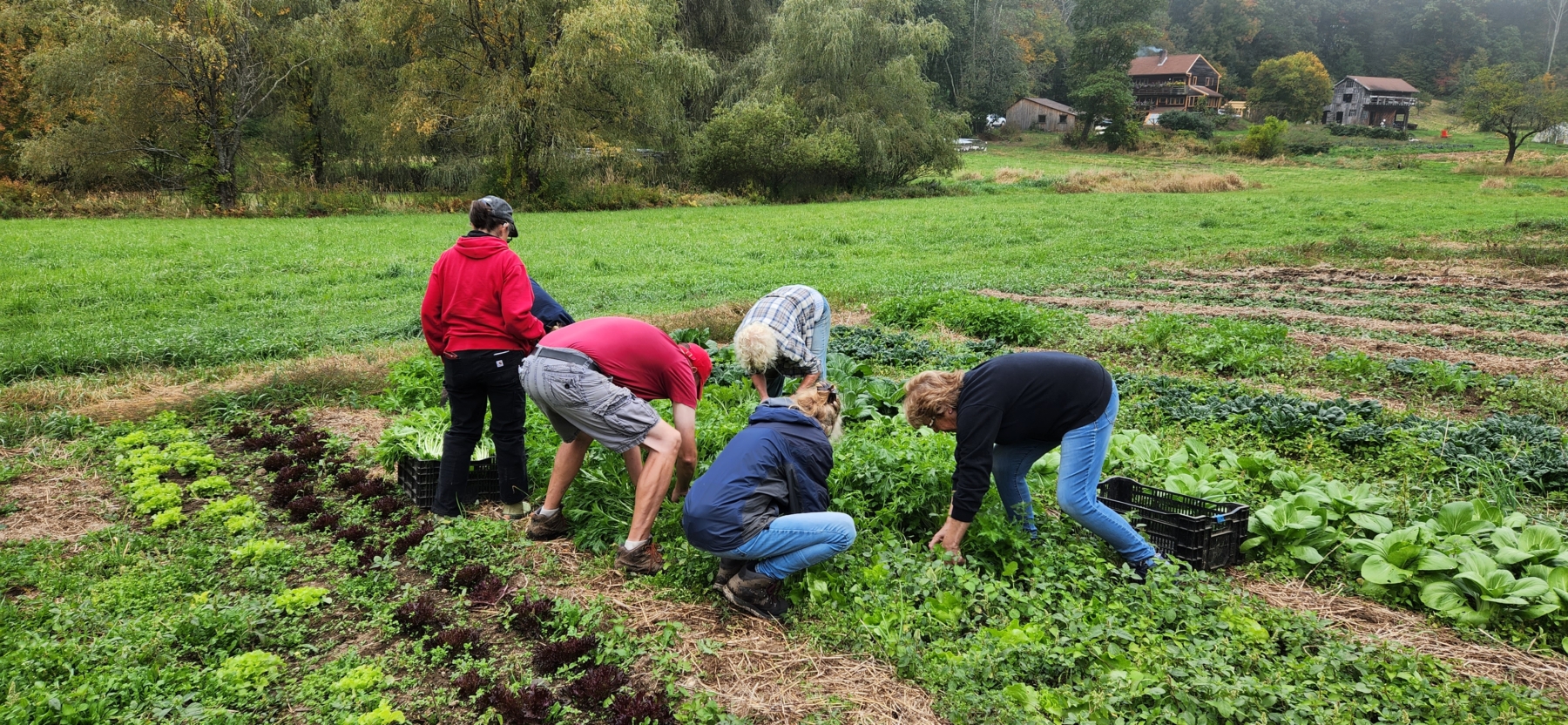 Good Neighbors Make Good Neighbors – Matt Kornn
