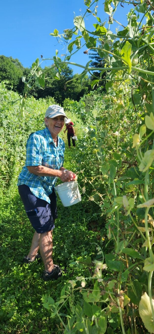 To Those Who Care for Others