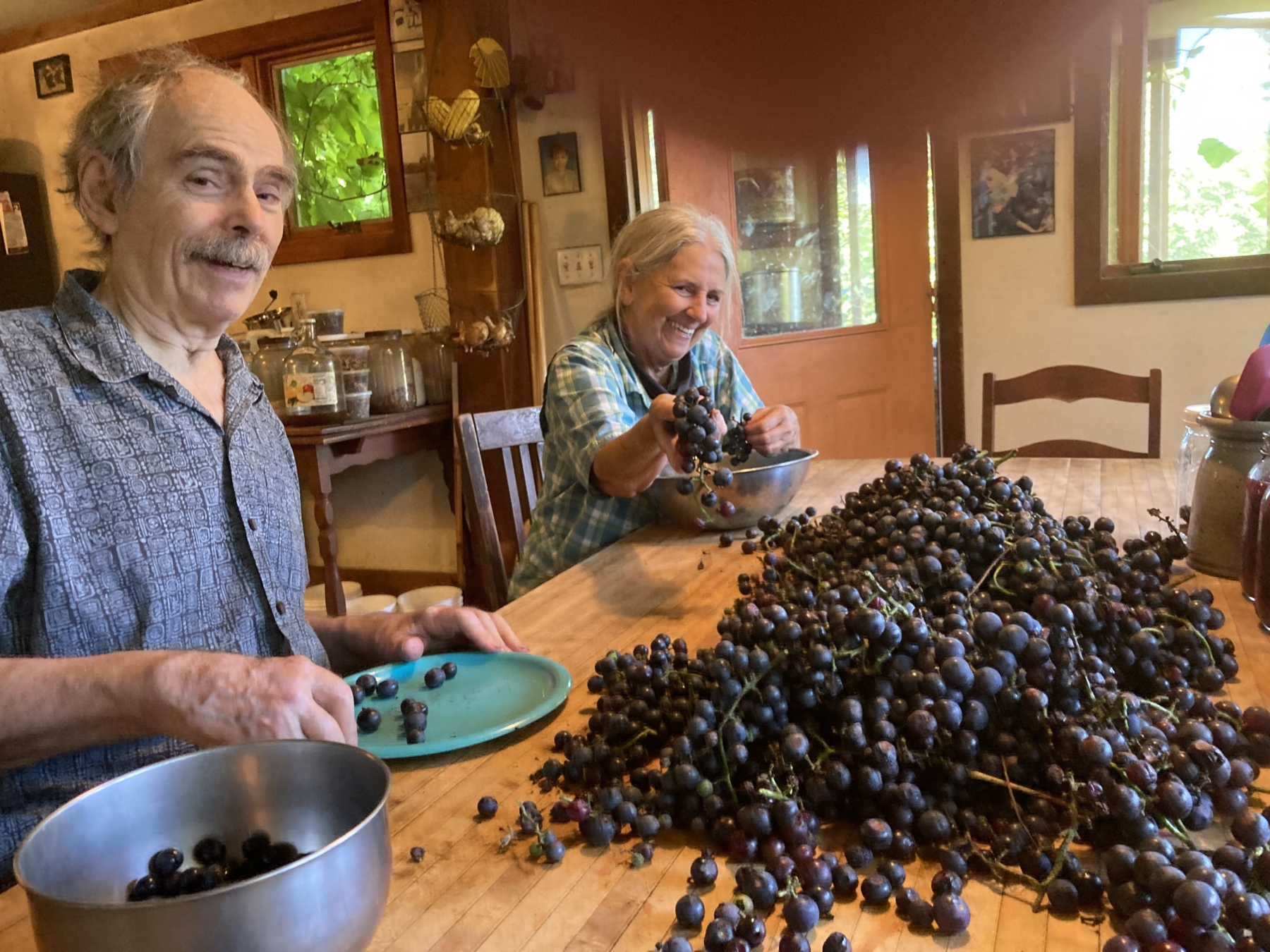 Food Preservation
