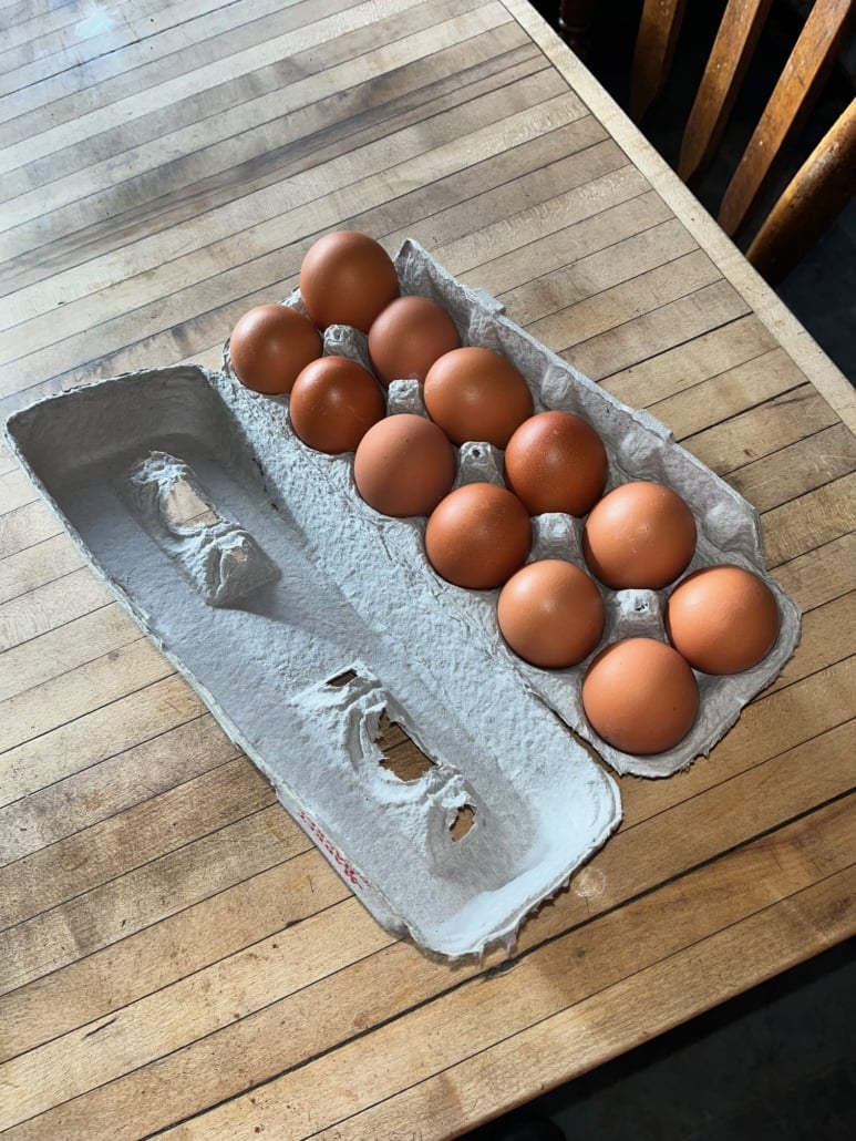 Egg Share - Summer 2026
