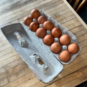 Egg Share - Fall 2026