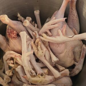 Chicken Feet