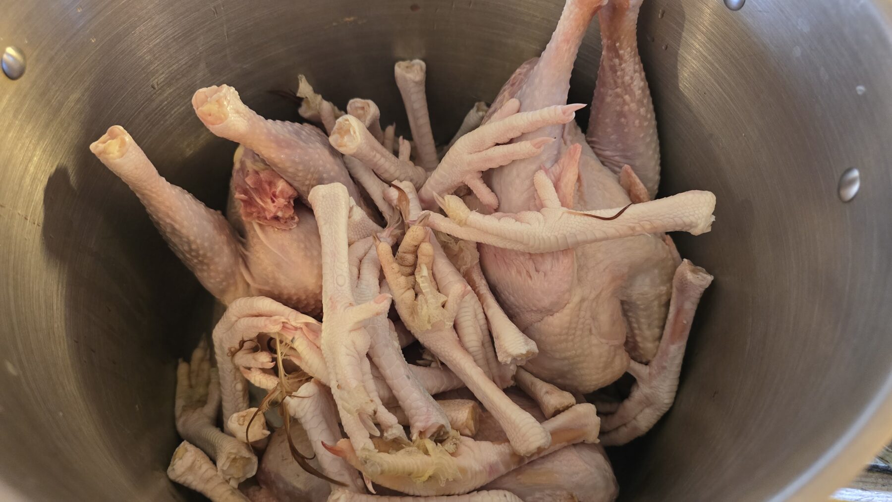 Chicken Feet