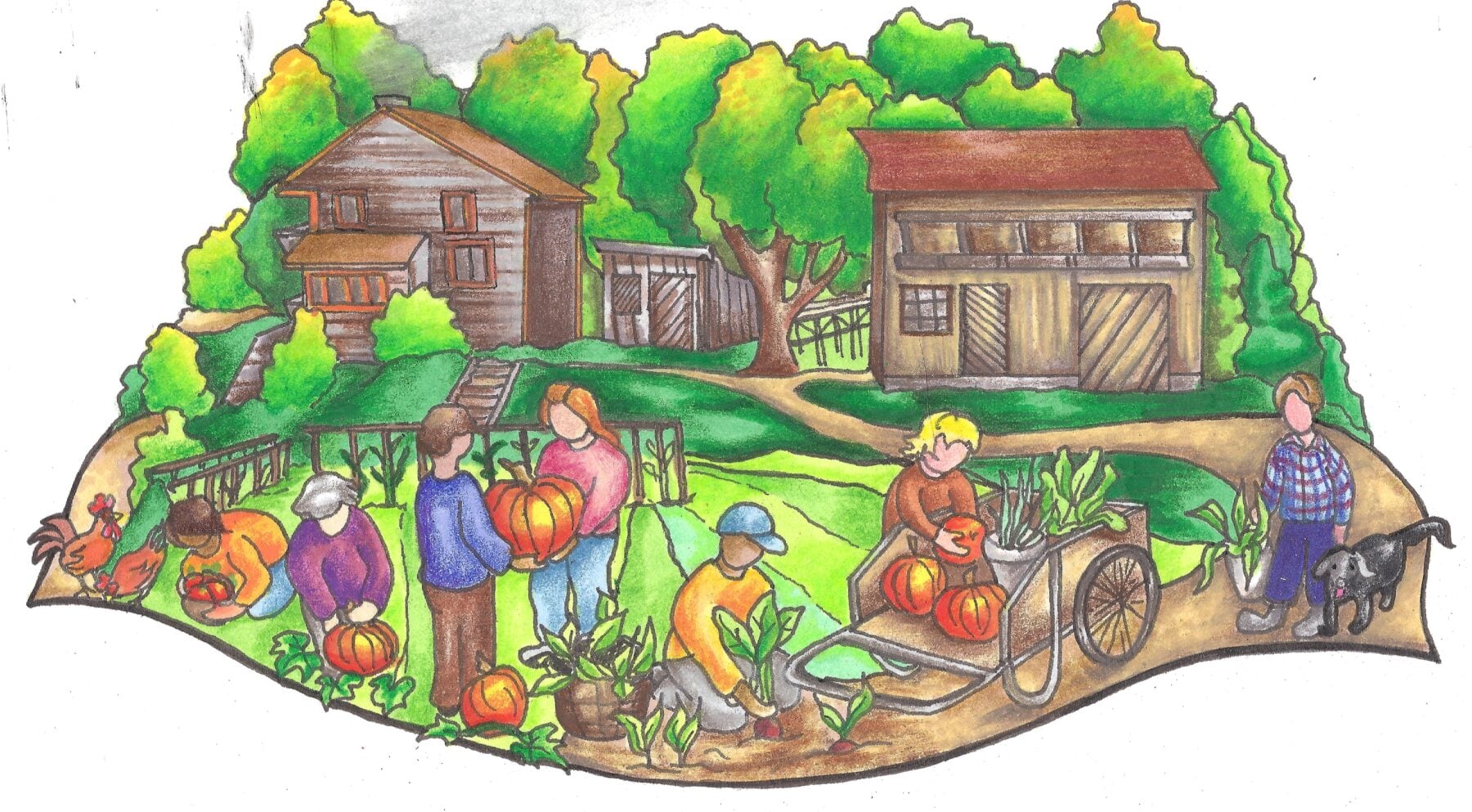 Many Hands Organic Farm