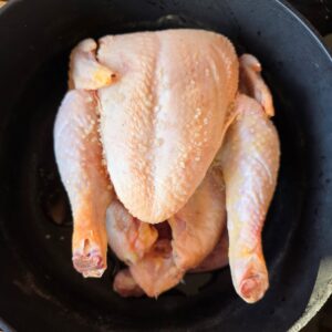 Meat Chickens