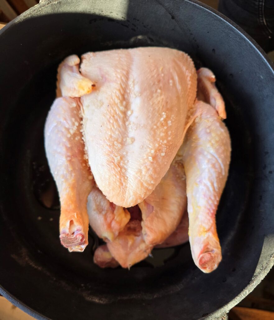 Meat Chickens