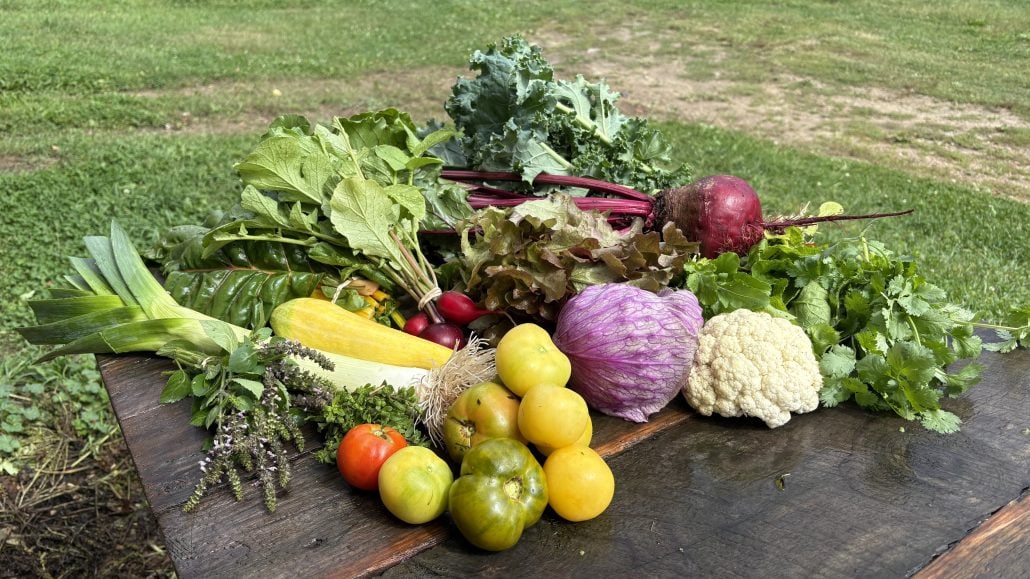 Produce Share - Summer 2026