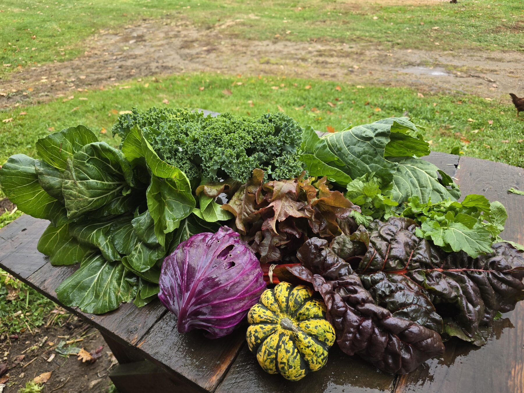 Produce Share – Summer 2026